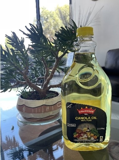 colossus芥花籽油品质苛求滴滴锁香