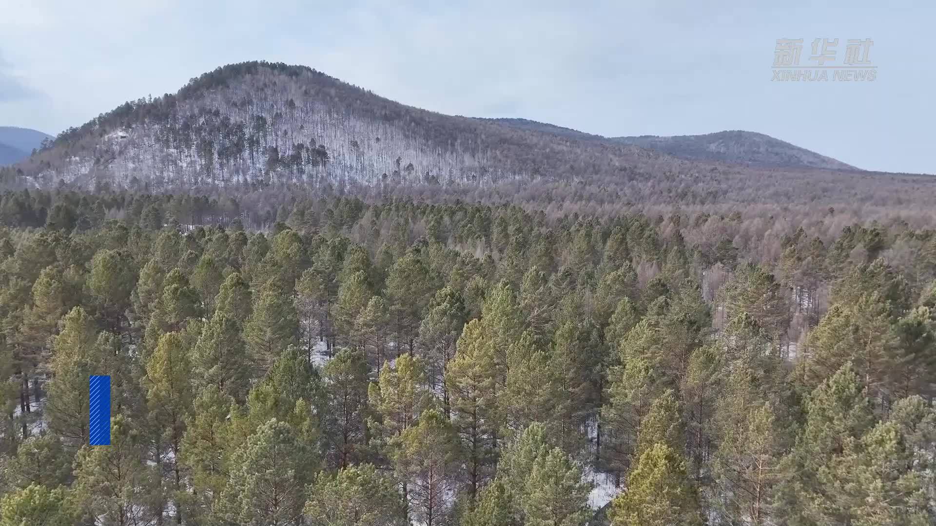 大兴安岭地区开展森林防灭火准备工作