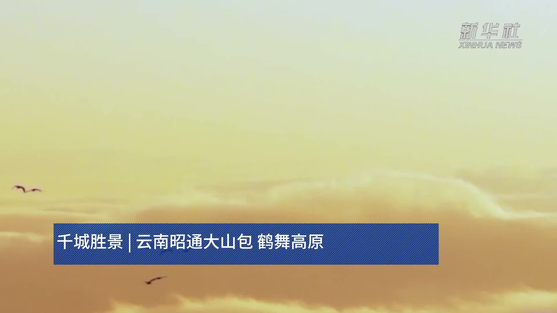 千城胜景｜云南昭通大山包 鹤舞高原