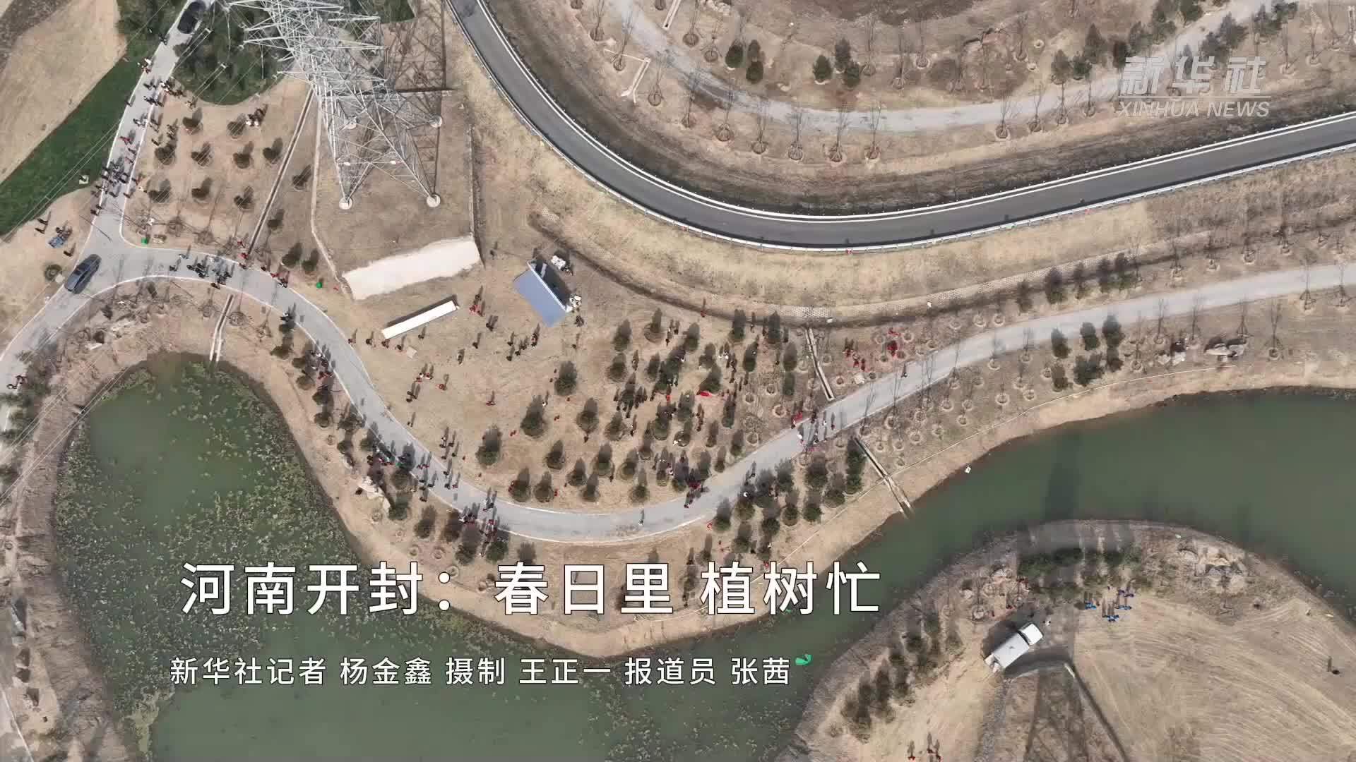 河南开封：春日里 植树忙