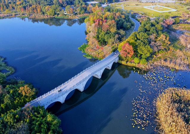 春游江淮请来芜湖不怕人挤人芜湖最新赏花指南收好