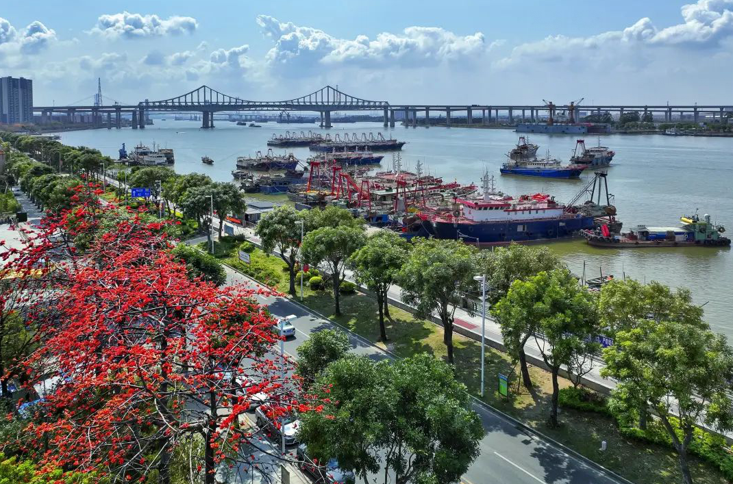 沙田两村获评2023年广东省乡村治理示范村凤凰网东莞_凤凰网