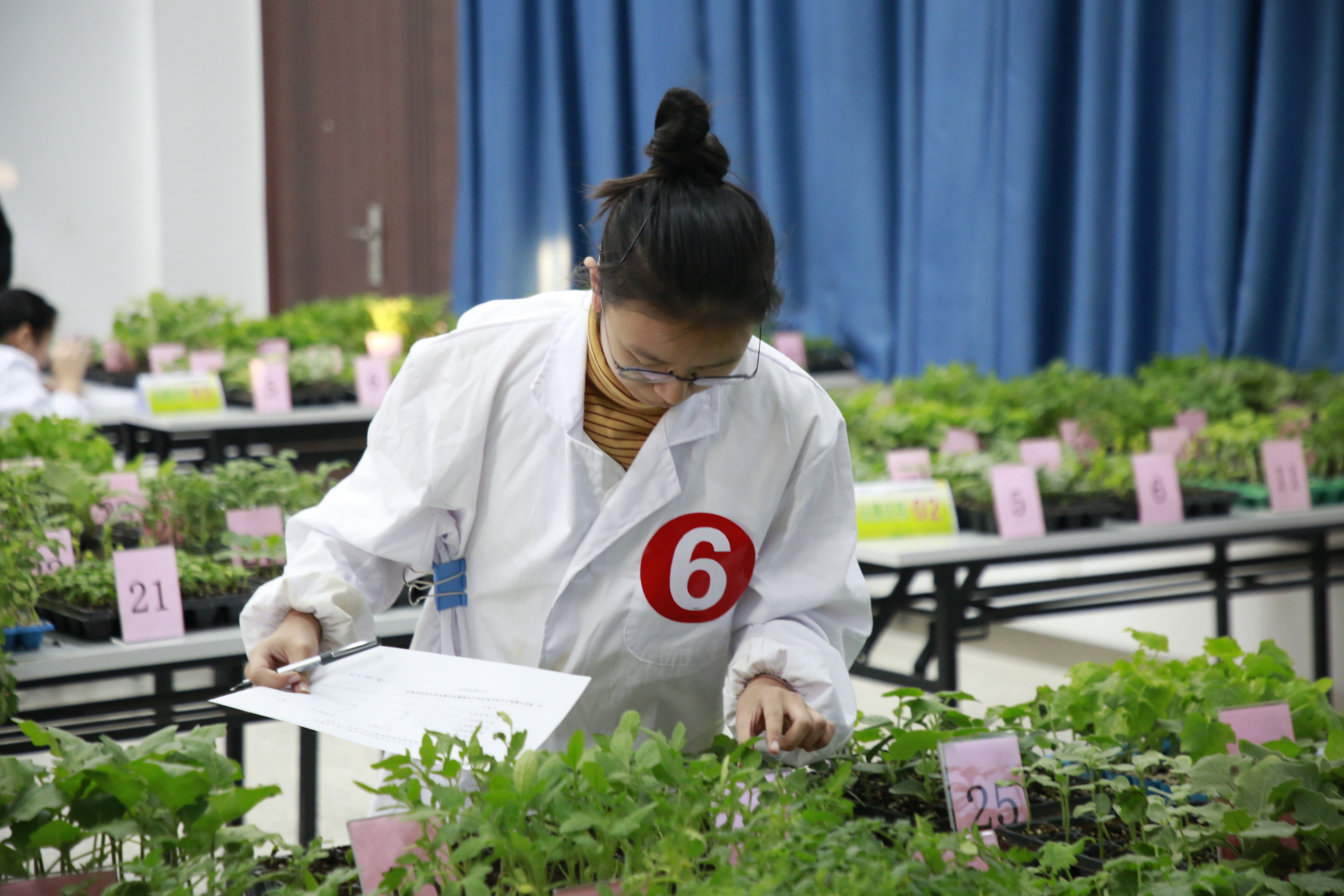 盐城生物工程校花图片