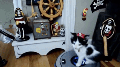 Sora 生成的新视频。提示词：Pirate kitten riding a robot vacuum.