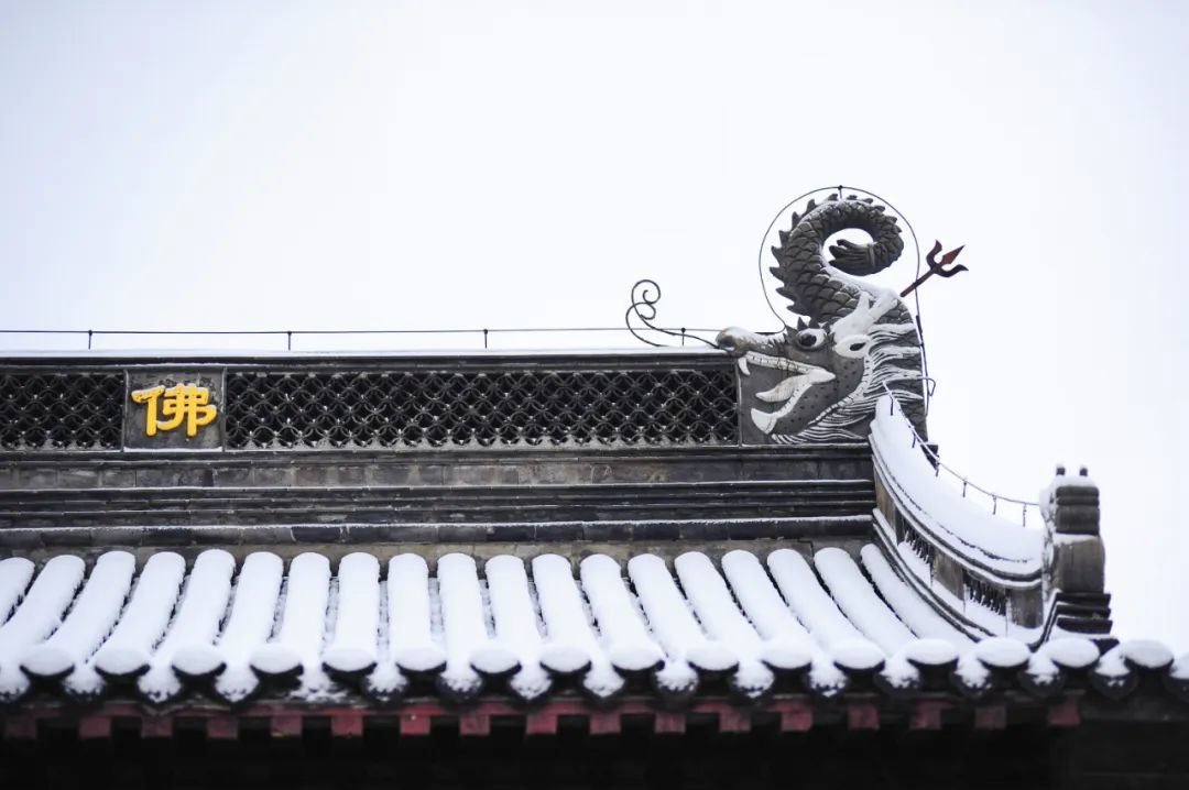 厦门云游寺院摄影展｜古运河畔文峰寺，低调地美了千百年
