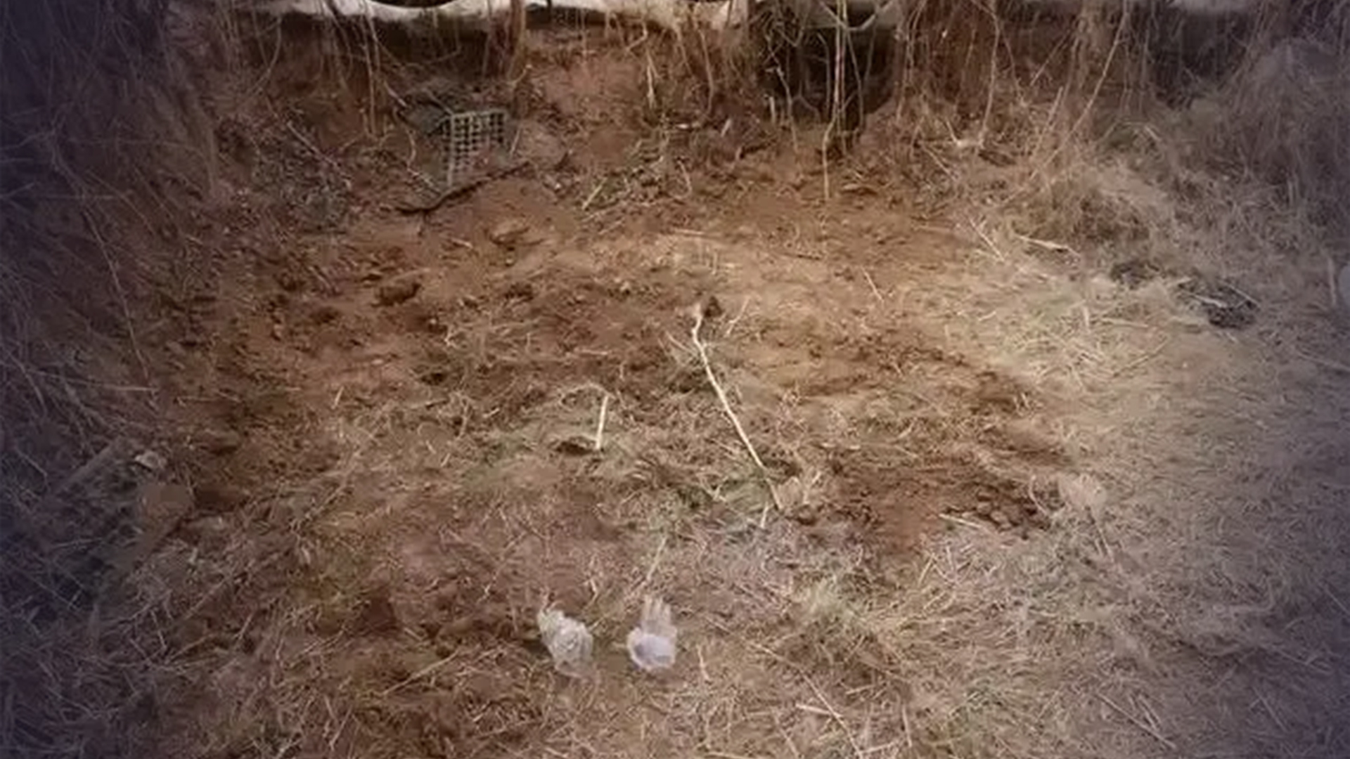 “邯郸13岁初中生被杀害”最新消息：亲属称已于18日凌晨尸检，其父和律师全程见证