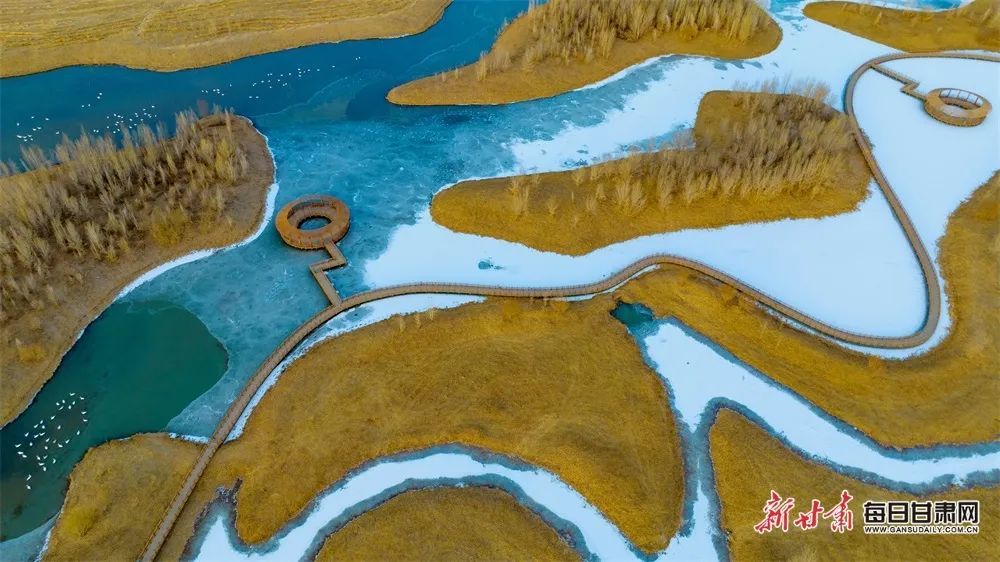 张掖黑河国家级自然保护区 杨永伟 摄