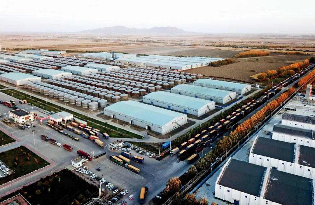 2023年10月11日，在黑龙江富锦市一大型粮食仓储加工企业外，送粮车排起了长队。图/新华