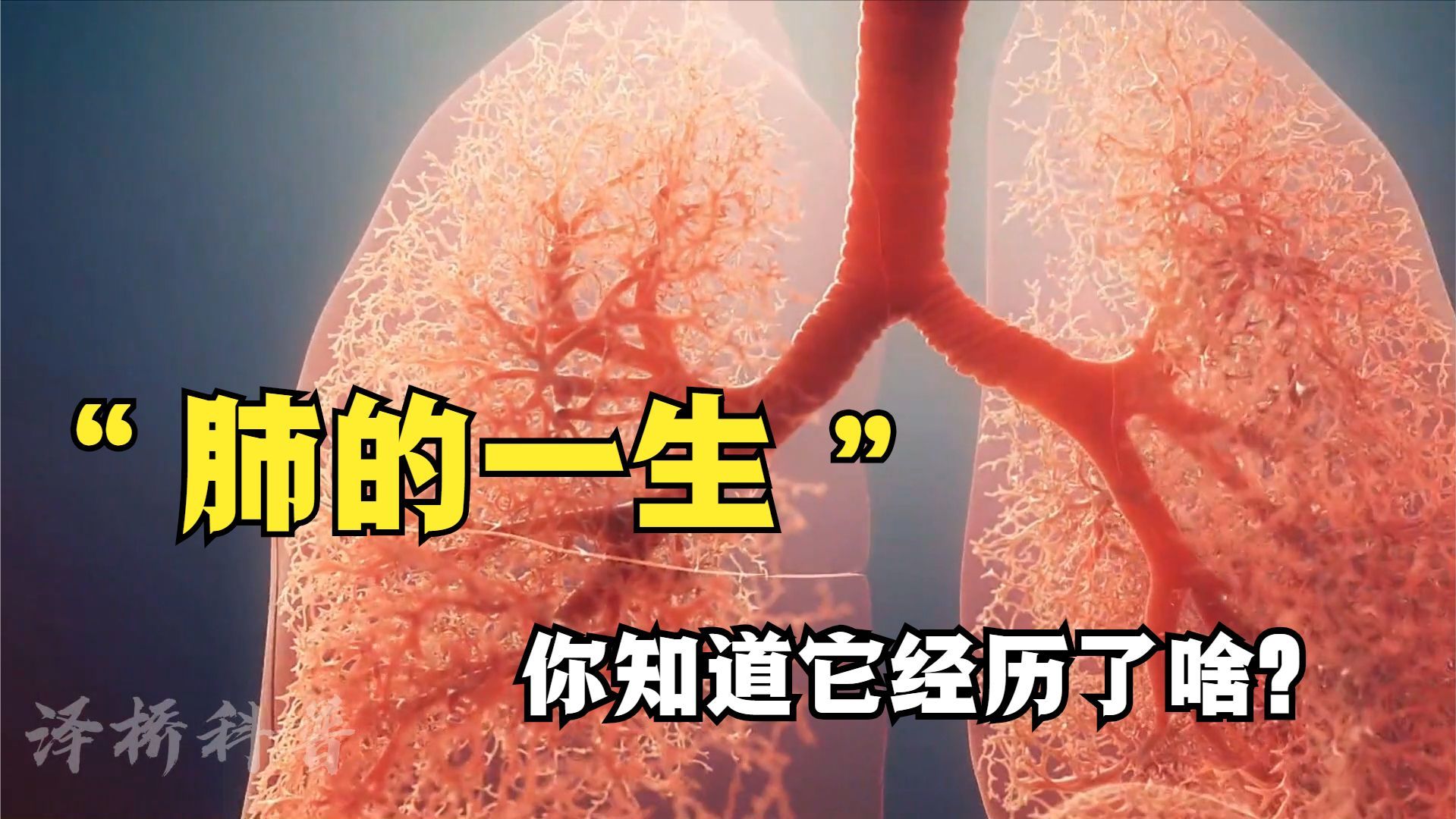 肺的日常：从清新少年到老司机，它都经历了啥？