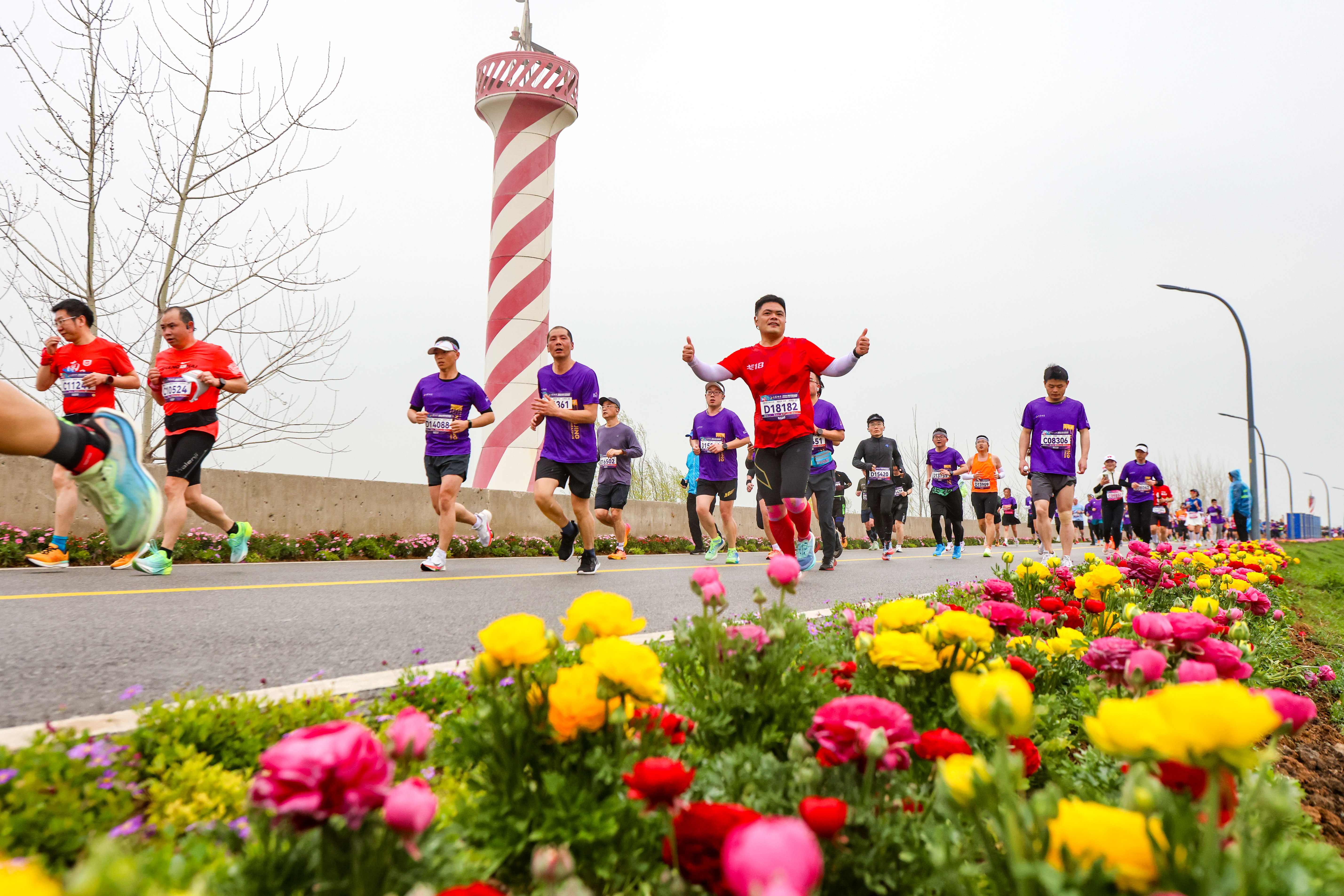 2万名跑者打卡南京速度 2024南京半程马拉松鸣枪开跑！