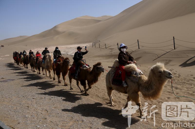 2024年3月18日，游客乘骑骆驼在甘肃省敦煌市鸣沙山月牙泉景区游览。