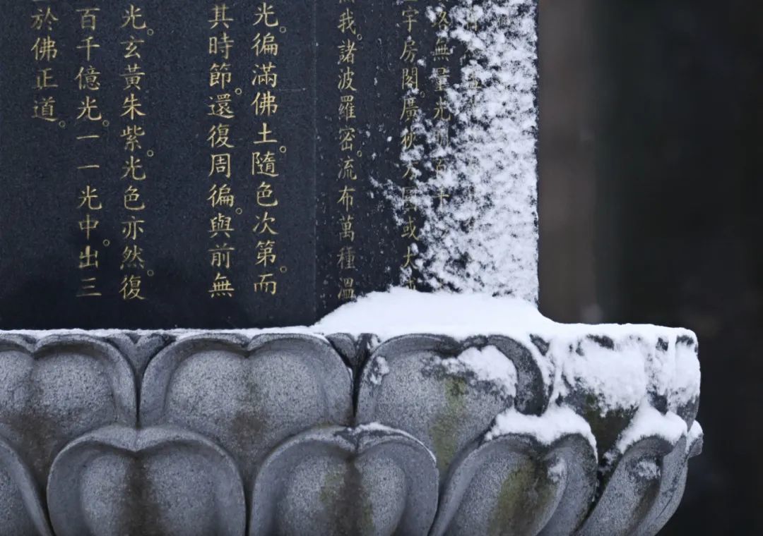 厦门云游寺院摄影展｜古运河畔文峰寺，低调地美了千百年