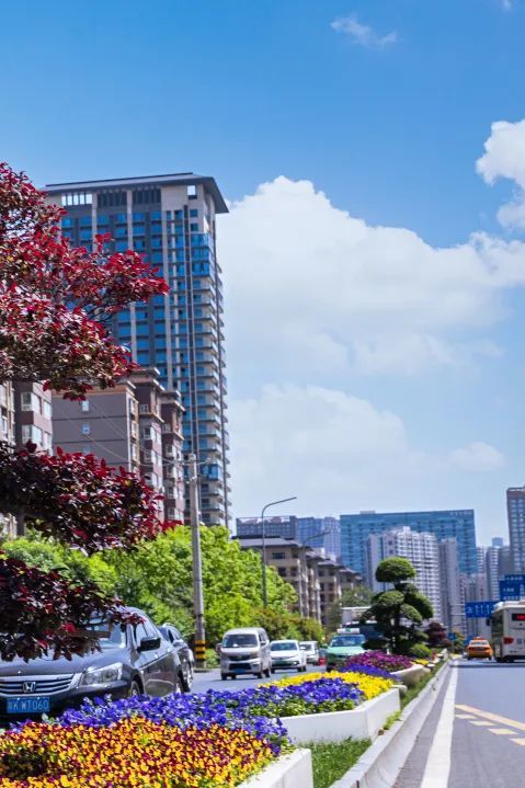 西安高新区赴春日之约 展城区新貌凤凰网陕西_凤凰网