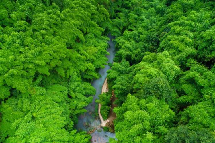全国酒厂都离不开这座川西小城