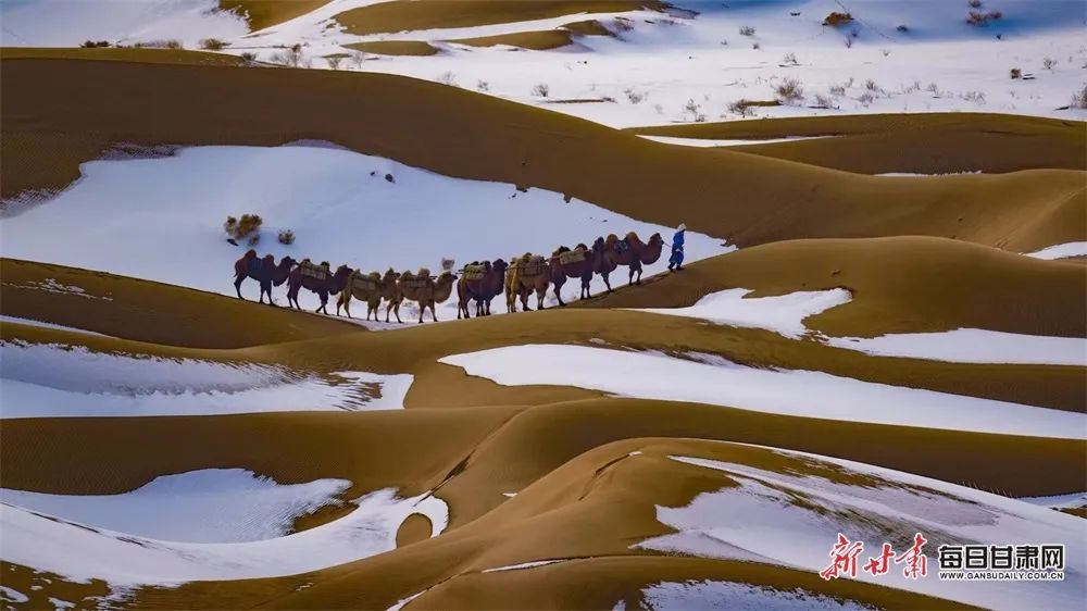 雪落巴丹吉林沙漠 何为 摄