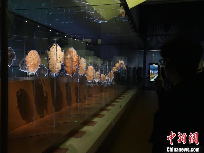 2月26日，殷墟博物馆新馆展出的甲骨片。　中新社记者 阚力 摄