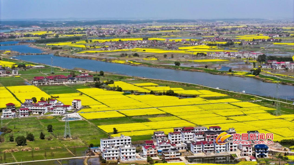 安义县万埠镇:田园乡村美如画(图)凤凰网江西_凤凰网