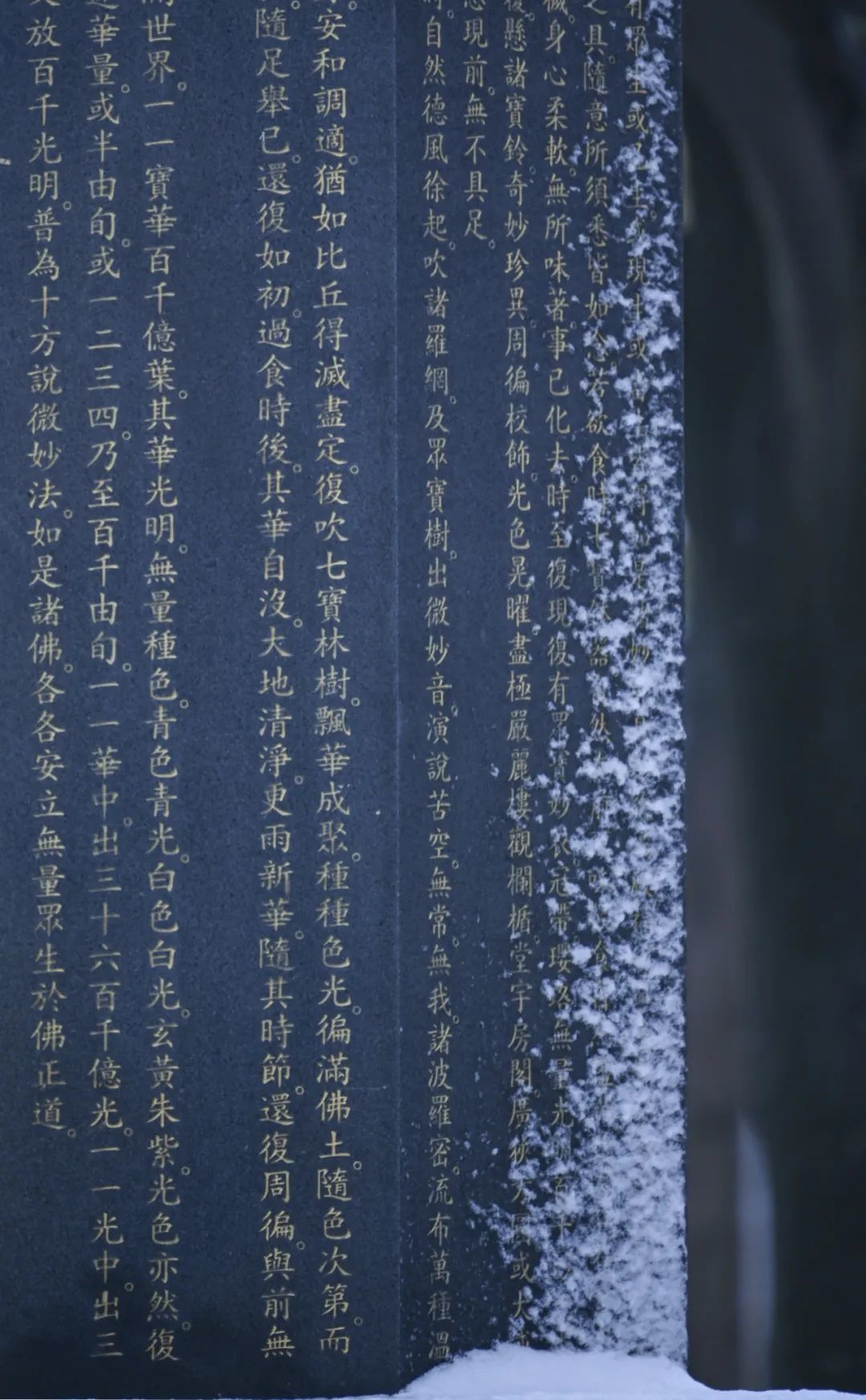 厦门云游寺院摄影展｜古运河畔文峰寺，低调地美了千百年