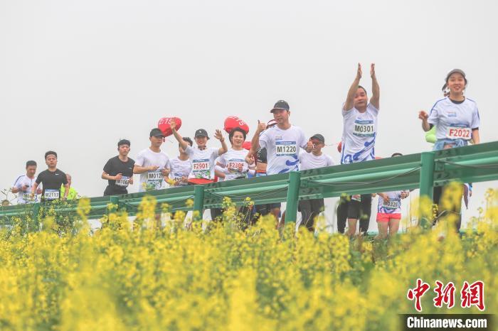 图为选手们从金色油菜花旁的鄱阳湖堤坝公路上跑过。刘力鑫摄