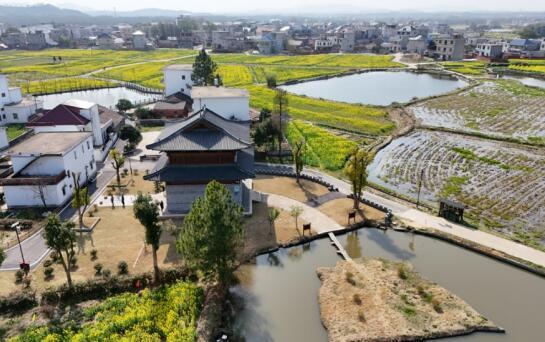 九江都昌县:油菜花开遍地金 星凤古楼焕新景