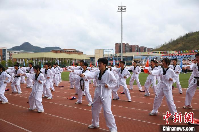 宁波体育运动学校简介图片