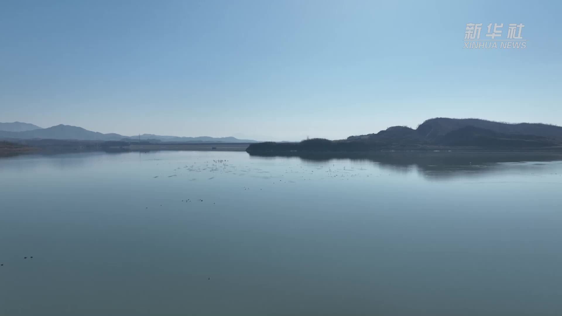 千城胜景｜河北遵化：候鸟戏水逐春光