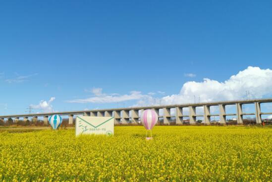 南昌县三江镇：蹄疾步稳强村级经济 共绘乡村振兴好图景