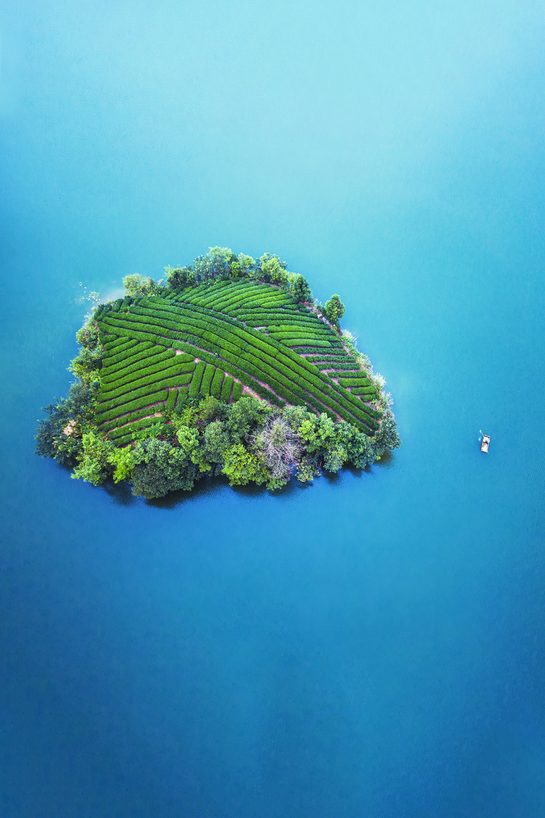 湄潭縣，湖的茶園小島。攝影/天祺TIANQI