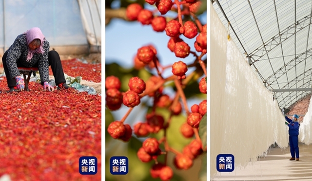 甘谷辣椒、陇南花椒、定西土豆粉是天水麻辣烫的甘肃“秘方”　（图源：央视新闻）