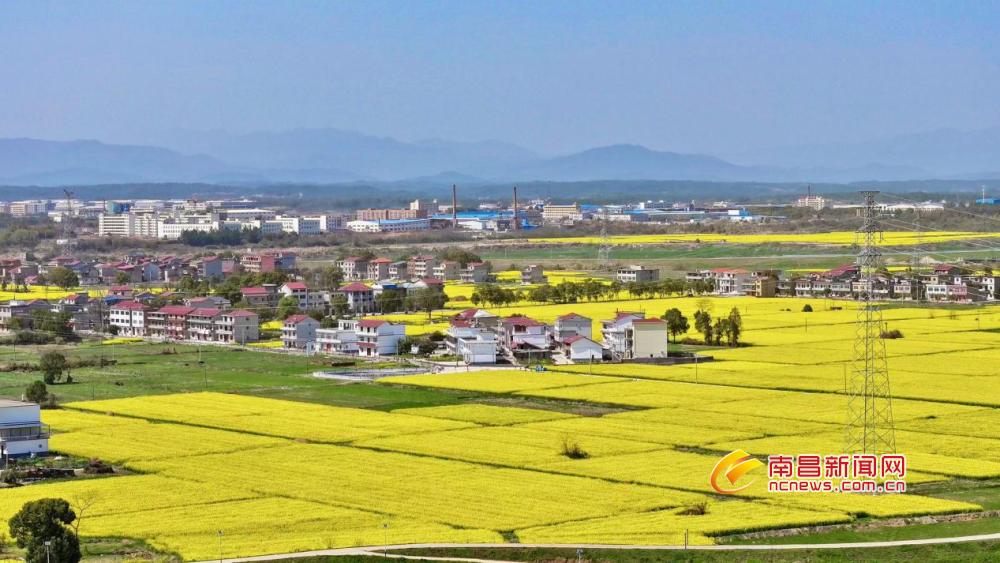 安义县万埠镇:田园乡村美如画(图)凤凰网江西_凤凰网