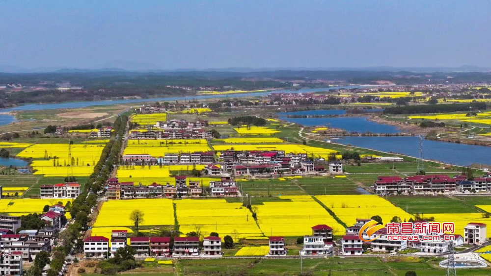 安义县万埠镇田园乡村美如画图