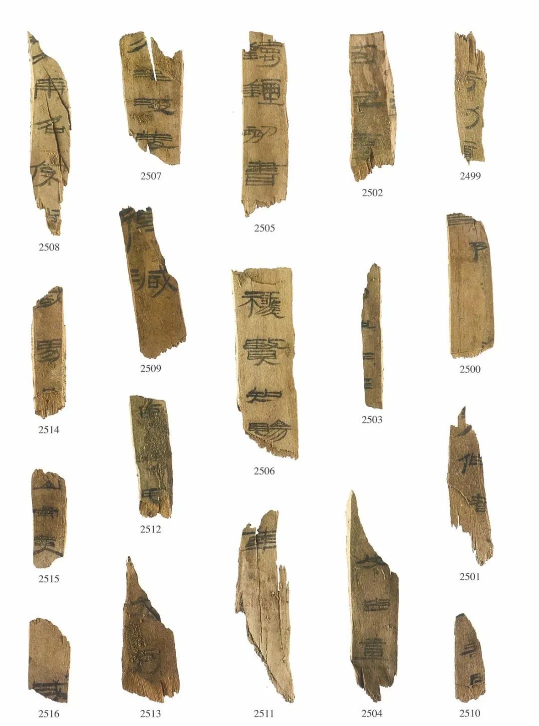 敦煌出土削衣图