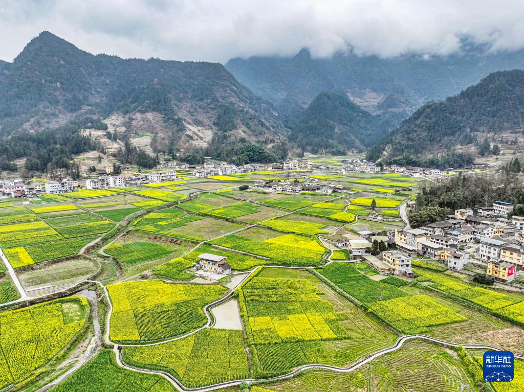 重庆周边油菜花景点图片