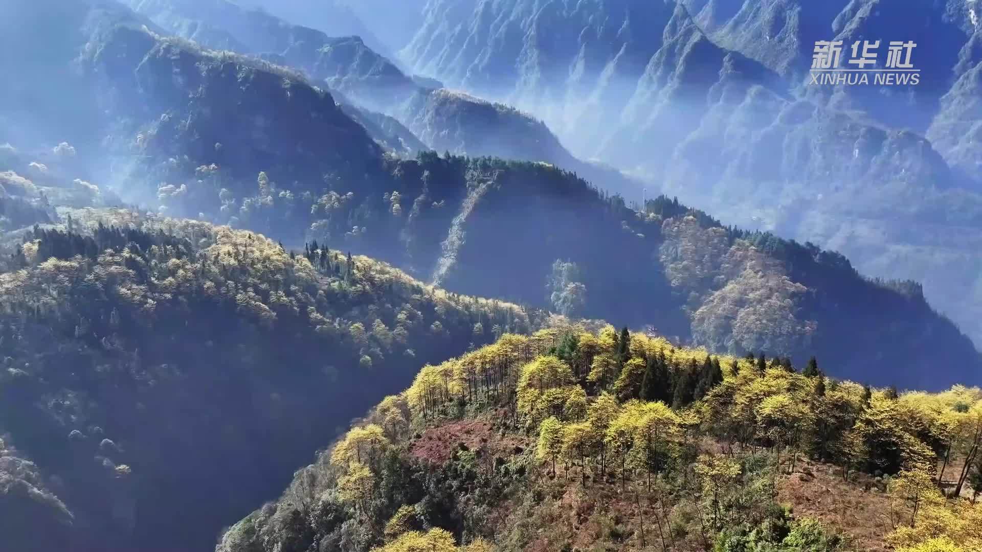 乌蒙大地 繁花盛开