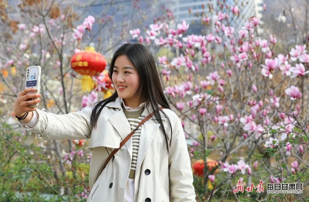 武都区东江湿地公园玉兰花绽放 后斌玉 摄