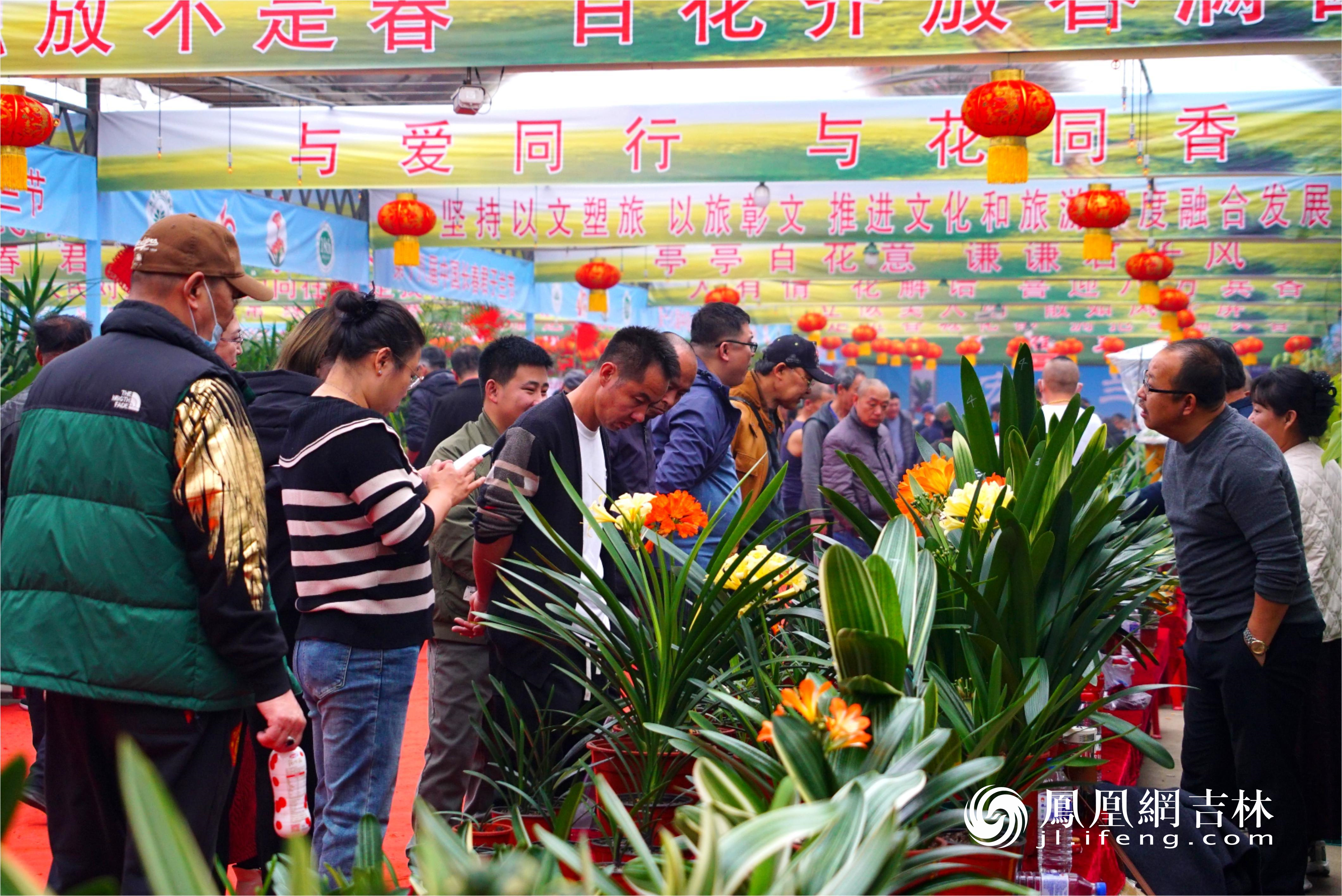 第十八届中国长春君子兰节开幕