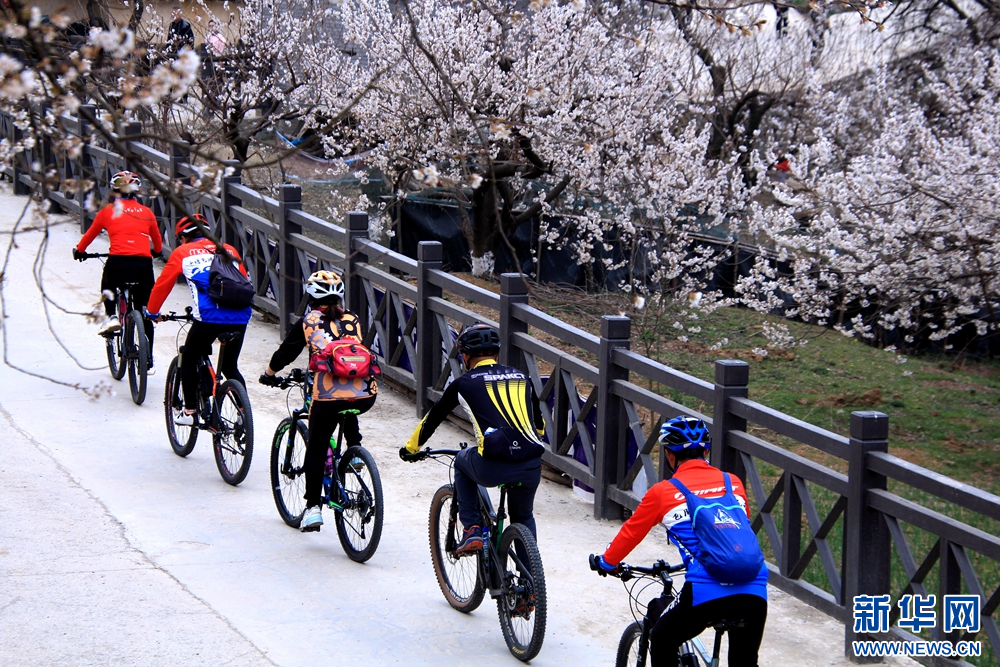 骑行春天里乐享好春光