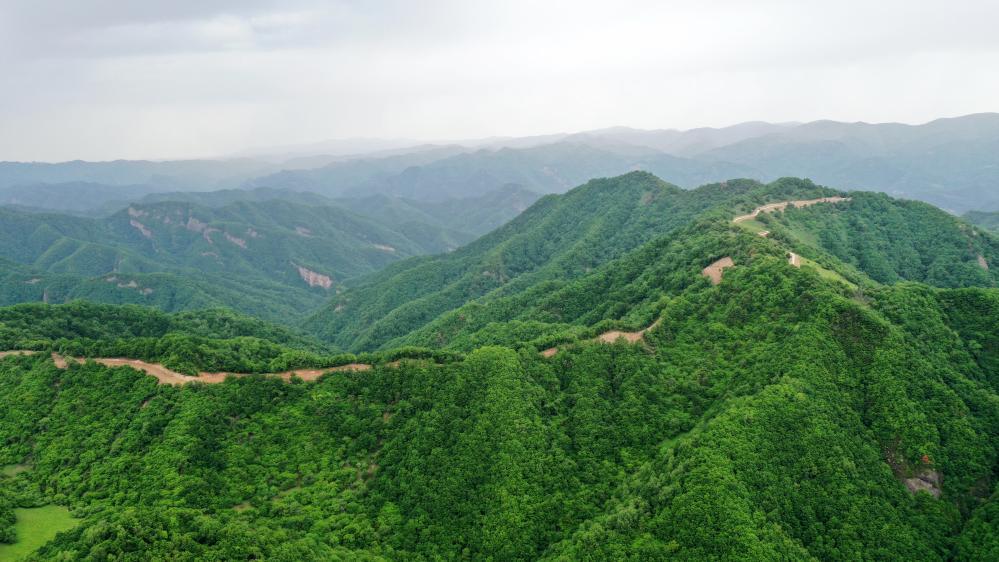 2022年6月7日拍摄的天水市张家川回族自治县关山林场美景（无人机照片）　新华社记者　陈斌　摄