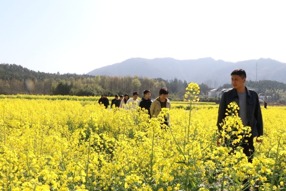 "瑶里镇农业农村办副主任李小槟介绍,为振兴乡村产业,增加农民收入