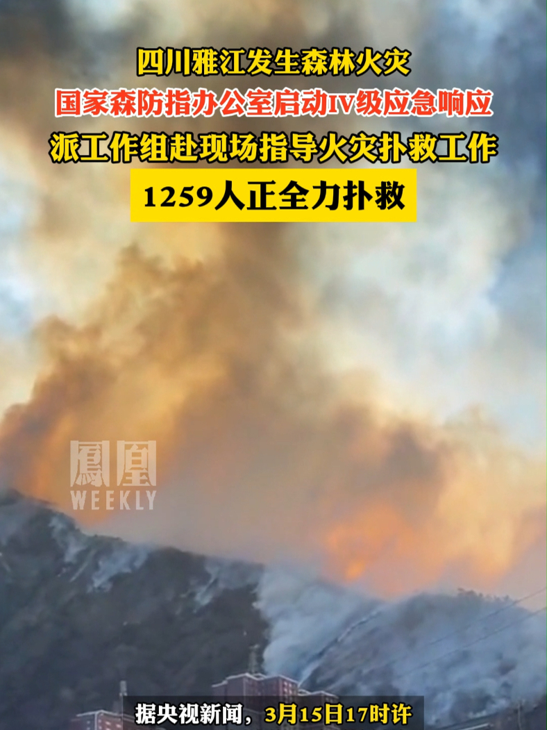 #四川雅江发生森林火灾 ，国家森防指办公室启动IV级应急响应，1259人正全力扑救