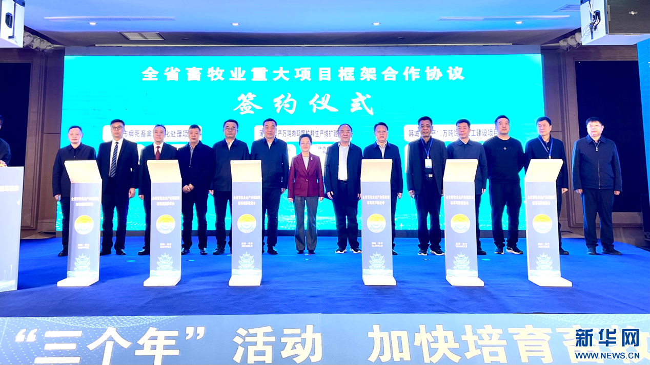 新华网 杨喜龙 摄原标题:全国畜牧业"西进北移"步代加快 陕西"黄金奶