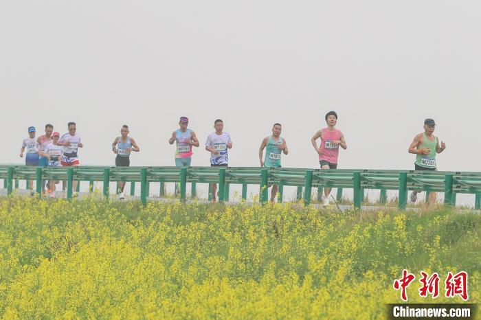 图为选手们从金色油菜花旁的鄱阳湖堤坝公路上跑过。刘力鑫摄