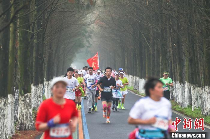 图为选手们从林间公路上跑过。刘力鑫摄