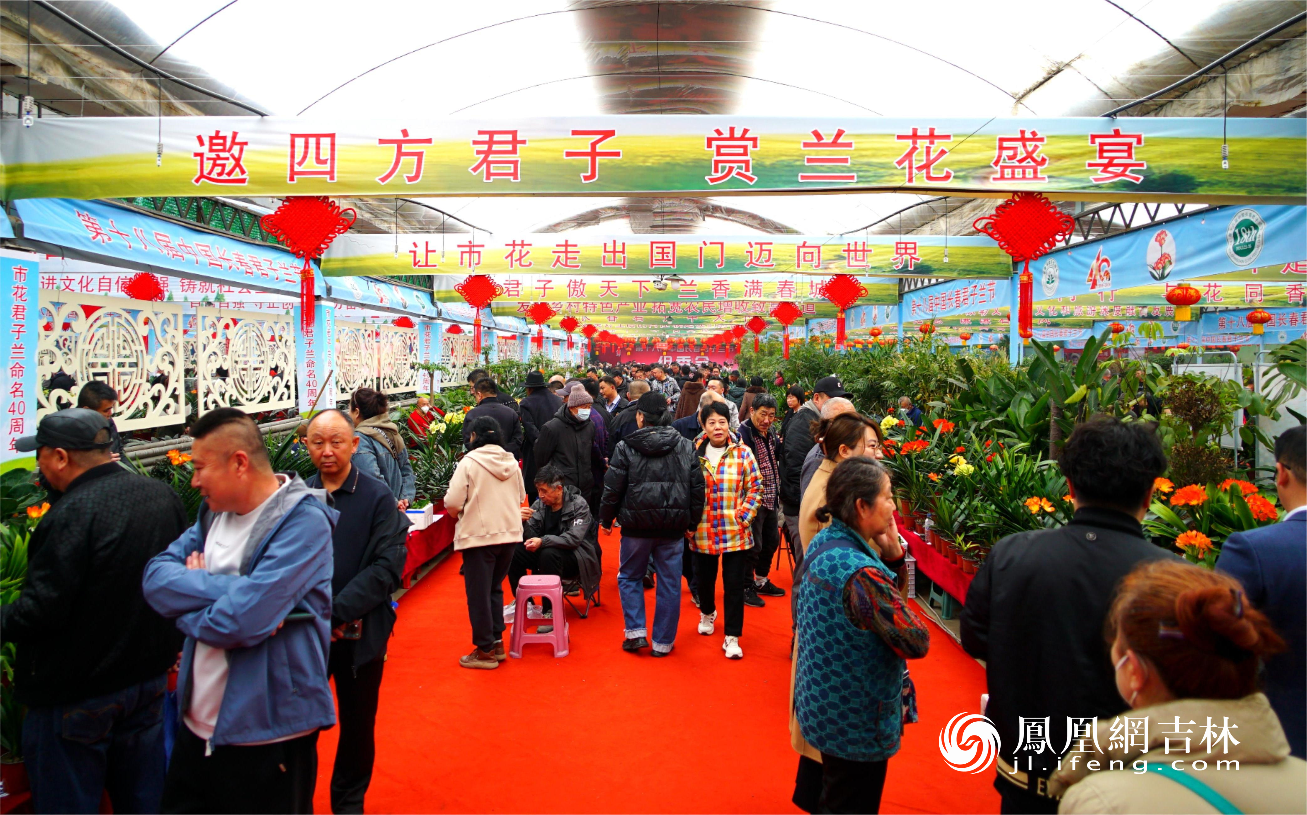 第十八届中国长春君子兰节现场，人头攒动。凤凰网吉林 董令辉/摄