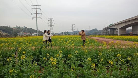 游客在花海中捕捉春影