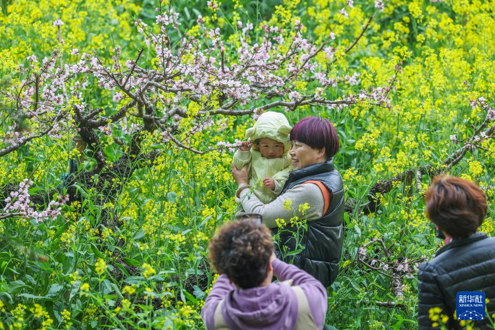 3月26日,游客在长兴县和平镇城山沟景区内赏花游玩.