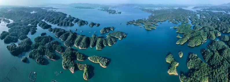 江西武宁赏花经济带火生态旅游