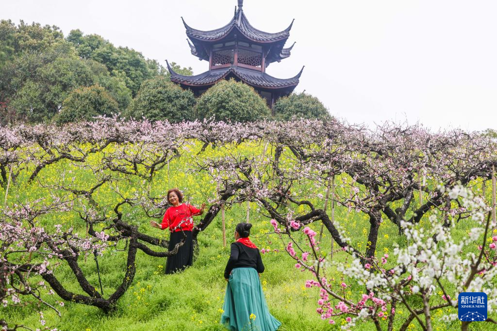 3月26日,游客在长兴县和平镇城山沟景区内赏花游玩