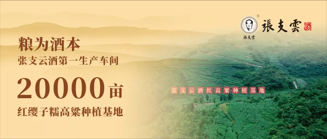 张支云酒高粱种植基地