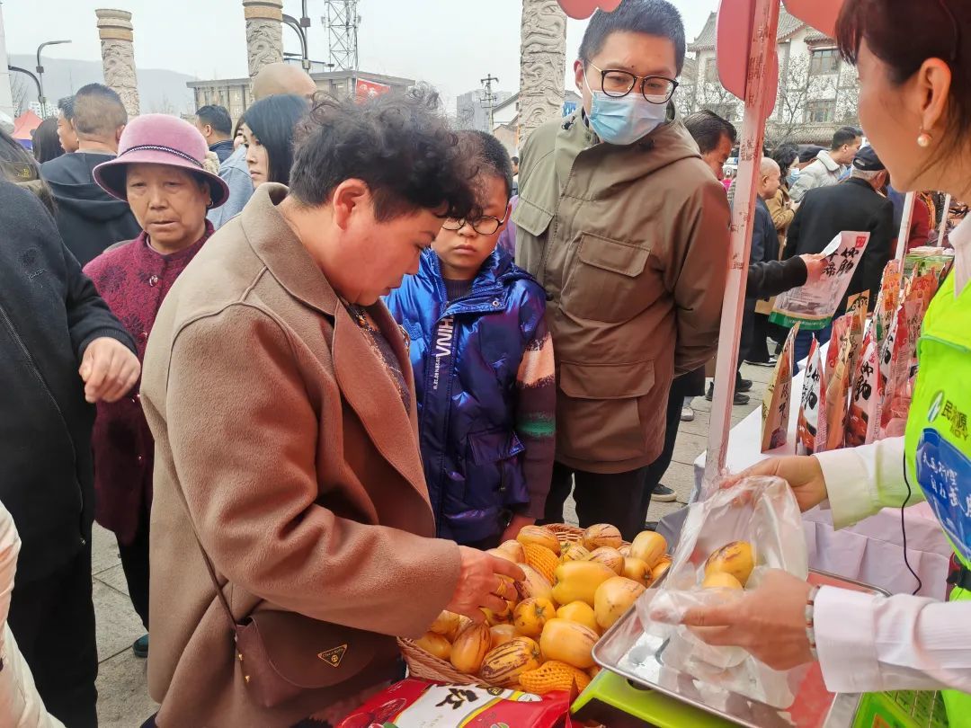 ▲民勤人参果备受青睐